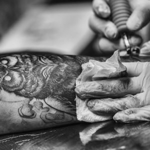 owl, tattoo, bird